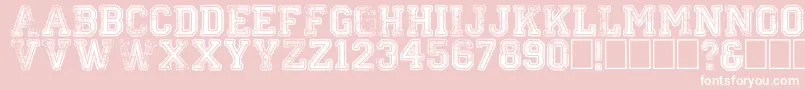 fuente Colleged – Fuentes Blancas Sobre Fondo Rosa