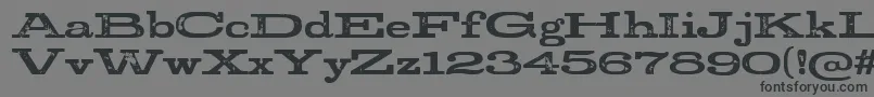 StudRegular Font – Black Fonts on Gray Background