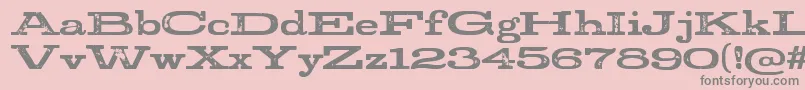 StudRegular Font – Gray Fonts on Pink Background