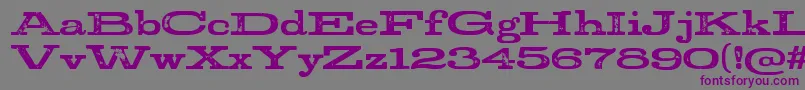 StudRegular-Schriftart – Violette Schriften auf grauem Hintergrund