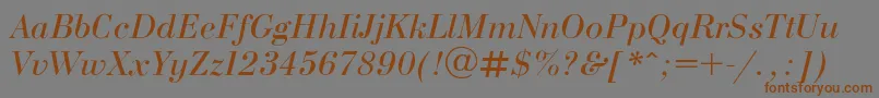 Bodonii Font – Brown Fonts on Gray Background