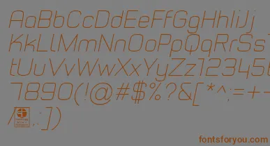 TypoStyleThinItalicDemo font – Brown Fonts On Gray Background