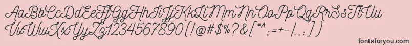 NickainleyNormal Font – Black Fonts on Pink Background