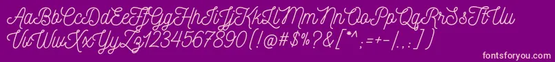 NickainleyNormal Font – Pink Fonts on Purple Background