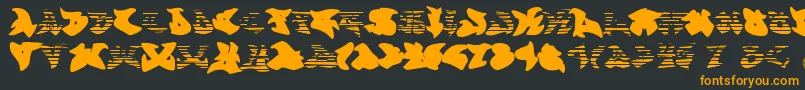 Graffonti.Gradient.Fill-Schriftart – Orangefarbene Schriften auf schwarzem Hintergrund