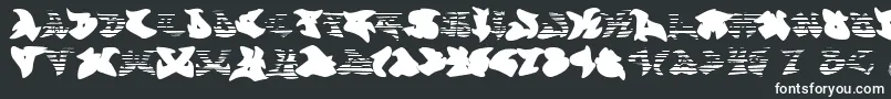 フォントGraffonti.Gradient.Fill – 黒い背景に白い文字