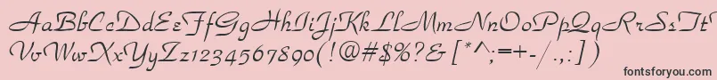 フォントParkaven – ピンクの背景に黒い文字
