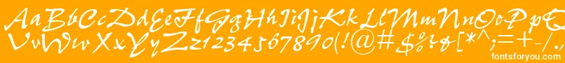 P700ScriptRegular-Schriftart – Weiße Schriften auf orangefarbenem Hintergrund