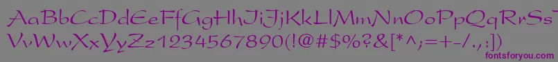 Шрифт Hansa – фиолетовые шрифты на сером фоне