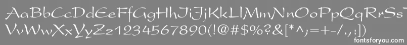 フォントHansa – 灰色の背景に白い文字