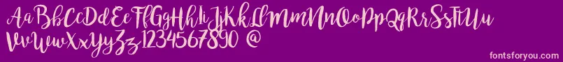 fuente Bromello – Fuentes Rosadas Sobre Fondo Morado
