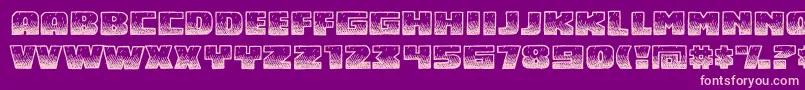 Midnsbrg Font – Pink Fonts on Purple Background