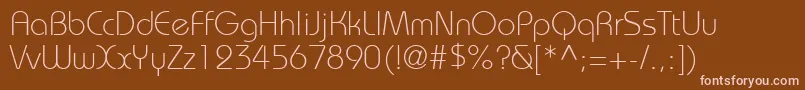 DynameLightSsiLight Font – Pink Fonts on Brown Background