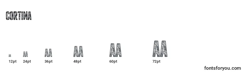 Размеры шрифта Cortina (41378)