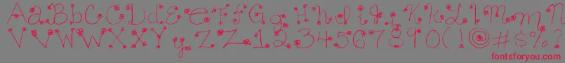 フォントDaisymae – 赤い文字の灰色の背景