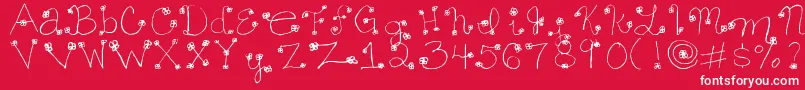 Daisymae Font – White Fonts on Red Background