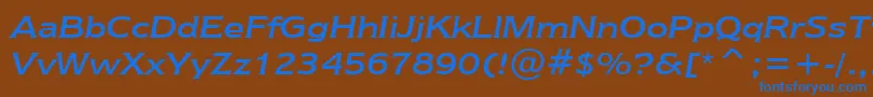 NewtextRegularItalicBt Font – Blue Fonts on Brown Background