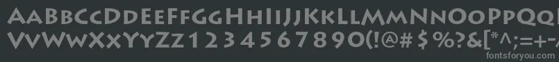フォントLithosproBold – 黒い背景に灰色の文字