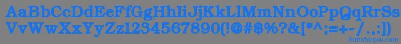 ErBukinist866Bold Font – Blue Fonts on Gray Background