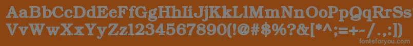 ErBukinist866Bold Font – Gray Fonts on Brown Background