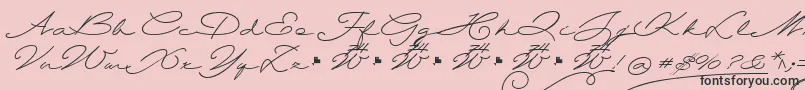 Wolframia-Schriftart – Schwarze Schriften auf rosa Hintergrund