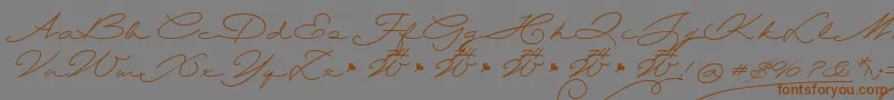 Шрифт Wolframia – коричневые шрифты на сером фоне