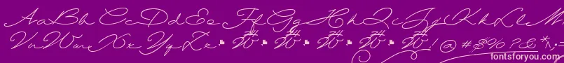 Wolframia Font – Pink Fonts on Purple Background
