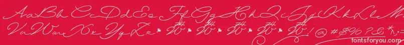 Wolframia-Schriftart – Rosa Schriften auf rotem Hintergrund