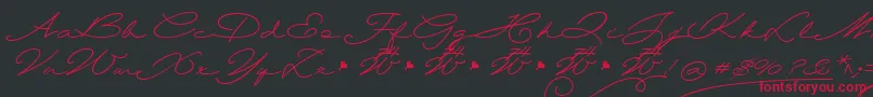 Wolframia Font – Red Fonts on Black Background