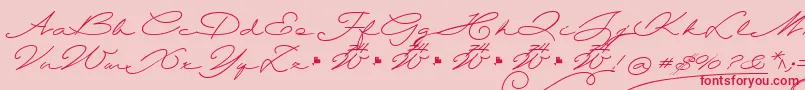 Шрифт Wolframia – красные шрифты на розовом фоне