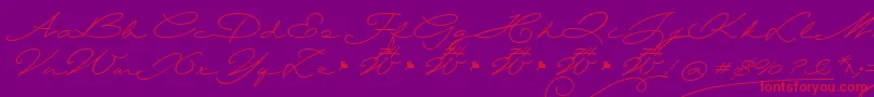 Wolframia-Schriftart – Rote Schriften auf violettem Hintergrund