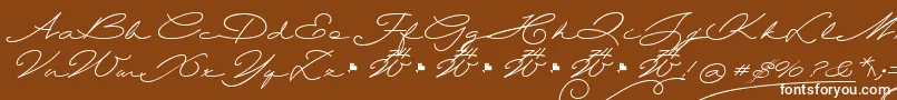 Шрифт Wolframia – белые шрифты на коричневом фоне