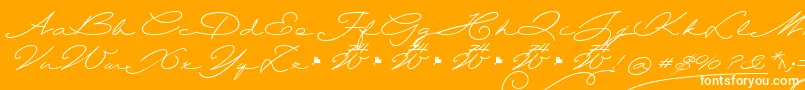 Шрифт Wolframia – белые шрифты на оранжевом фоне