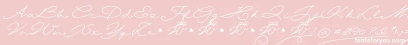 Wolframia-Schriftart – Weiße Schriften auf rosa Hintergrund