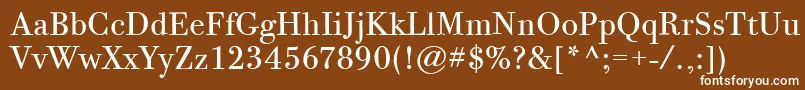 フォントBodoniTwelveItcBook – 茶色の背景に白い文字