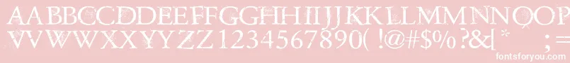 DustOverhaulPersonnalUseVersion Font – White Fonts on Pink Background