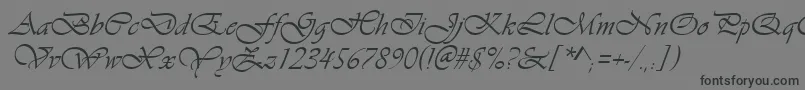 Czcionka VivaldiItalic – czarne czcionki na szarym tle