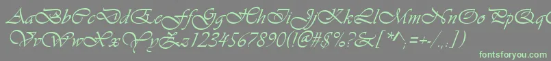 Más sobre la fuente VivaldiItalic fuente VivaldiItalic – Fuentes Verdes Sobre Fondo Gris