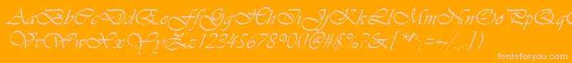 VivaldiItalic Font – Pink Fonts on Orange Background