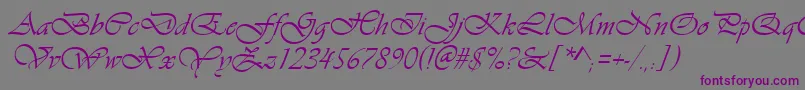 フォントVivaldiItalic – 紫色のフォント、灰色の背景