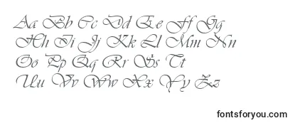 VivaldiItalic Font