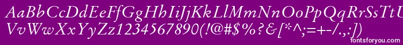 StempelGaramondLtItalic Font – White Fonts on Purple Background