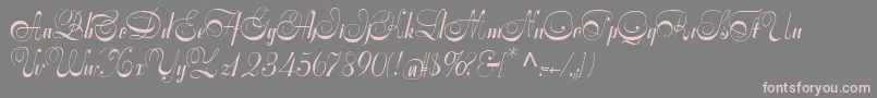 Symphoniecat-Schriftart – Rosa Schriften auf grauem Hintergrund