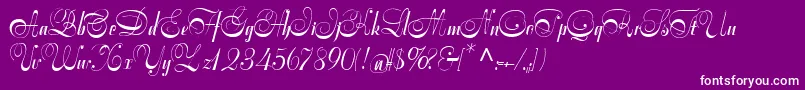 Symphoniecat Font – White Fonts on Purple Background