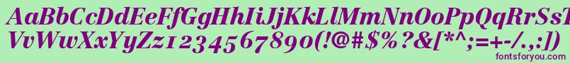 CenturyRepriseBlackosSsiNormal Font – Purple Fonts on Green Background