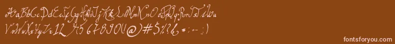 GracefulRegular Font – Pink Fonts on Brown Background
