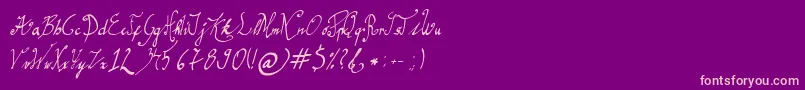 GracefulRegular Font – Pink Fonts on Purple Background