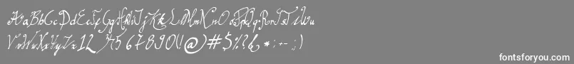 GracefulRegular Font – White Fonts on Gray Background