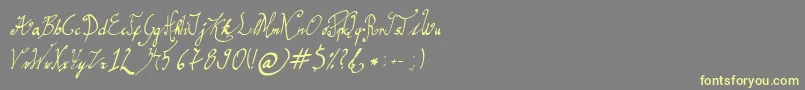 GracefulRegular-fontti – keltaiset fontit harmaalla taustalla