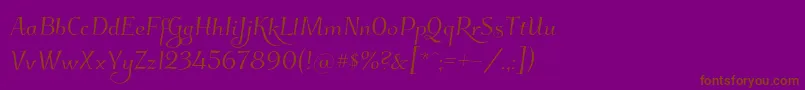 Kleymissky0283 Font – Brown Fonts on Purple Background